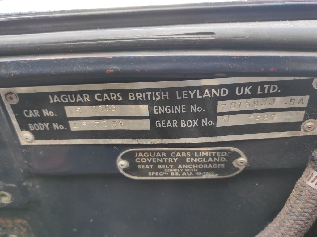 1974 Jaguar E-Type V12 Convertible – Bild 11